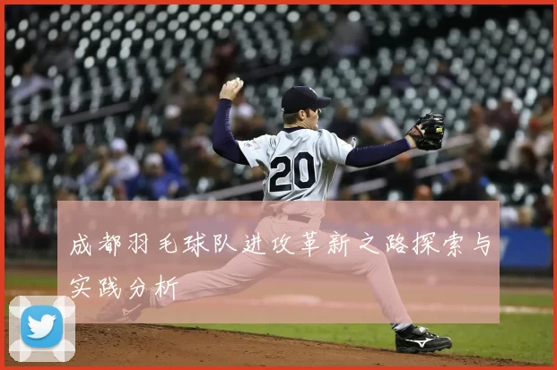 成都羽毛球队进攻革新之路探索与实践分析