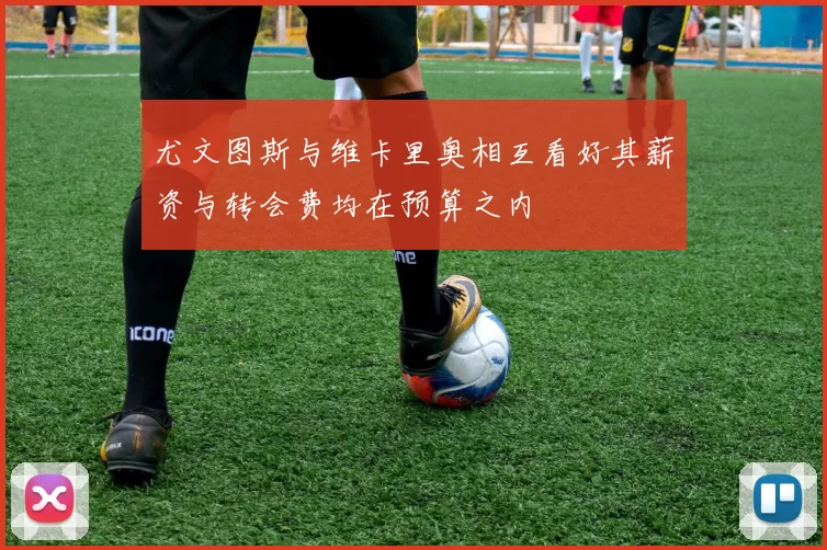 尤文图斯与维卡里奥相互看好其薪资与转会费均在预算之内