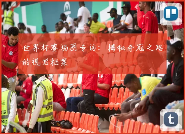 世界杯赛场图专访：揭秘夺冠之路的视觉档案
