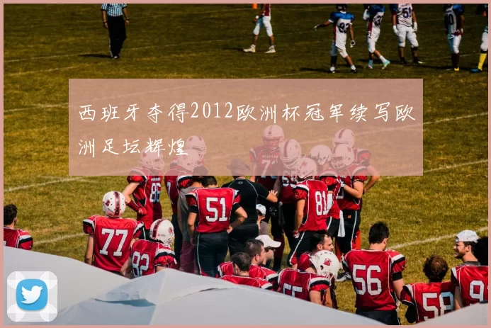 西班牙夺得2012欧洲杯冠军续写欧洲足坛辉煌
