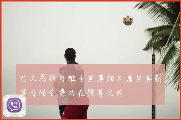 尤文图斯与维卡里奥相互看好其薪资与转会费均在预算之内