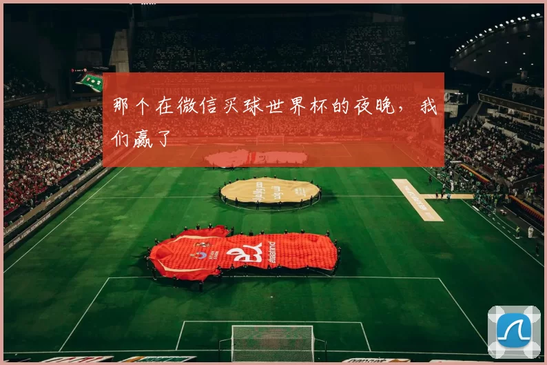 那个在微信买球世界杯的夜晚，我们赢了