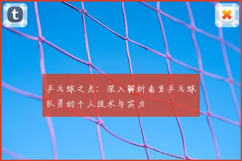 乒乓球之光:深入解析南京乒乓球队员的个人技术与实力