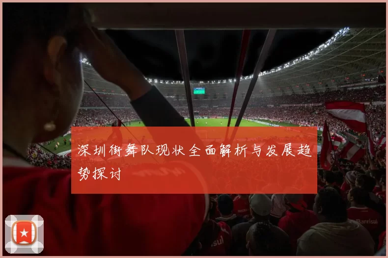 深圳街舞队现状全面解析与发展趋势探讨