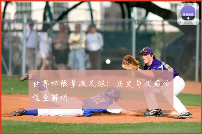 世界杯限量版足球：历史与收藏价值全解析