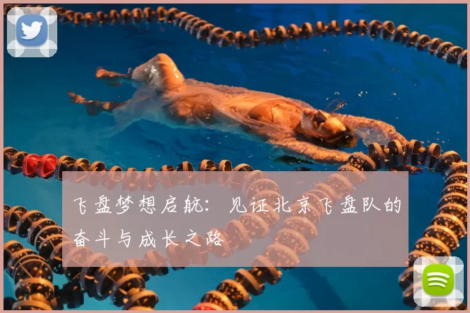飞盘梦想启航：见证北京飞盘队的奋斗与成长之路