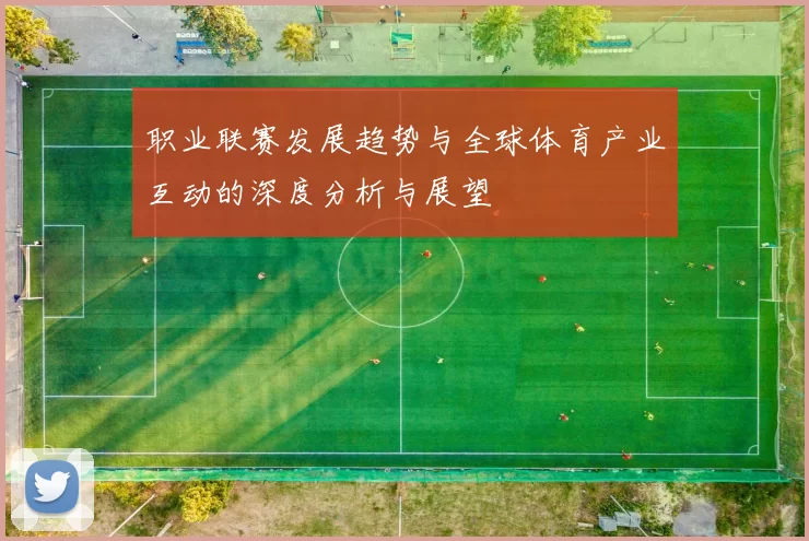 职业联赛发展趋势与全球体育产业互动的深度分析与展望