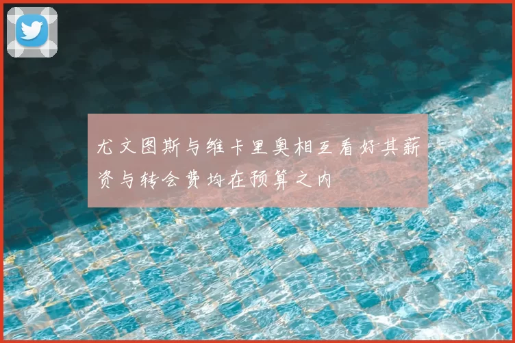 尤文图斯与维卡里奥相互看好其薪资与转会费均在预算之内