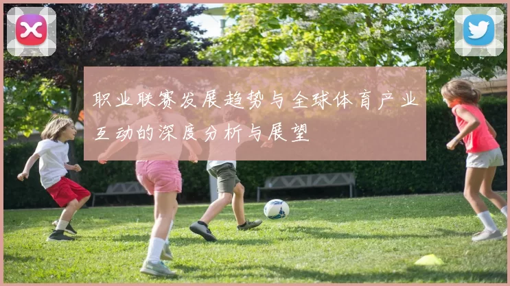 职业联赛发展趋势与全球体育产业互动的深度分析与展望