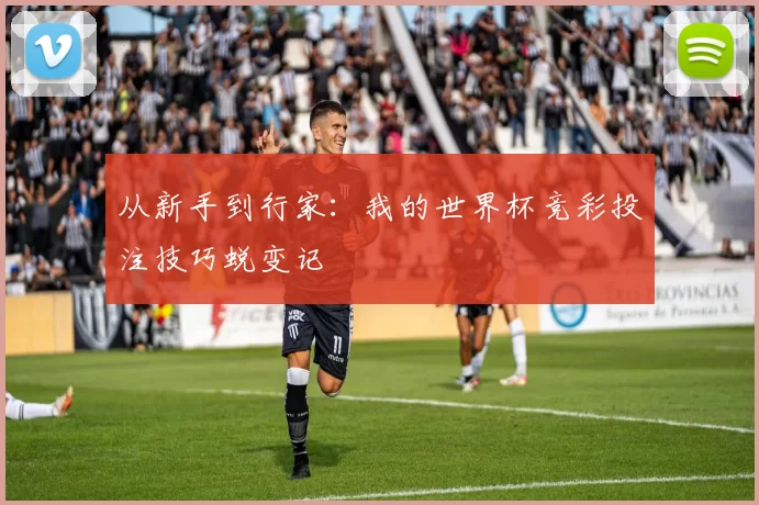 从新手到行家：我的世界杯竞彩投注技巧蜕变记