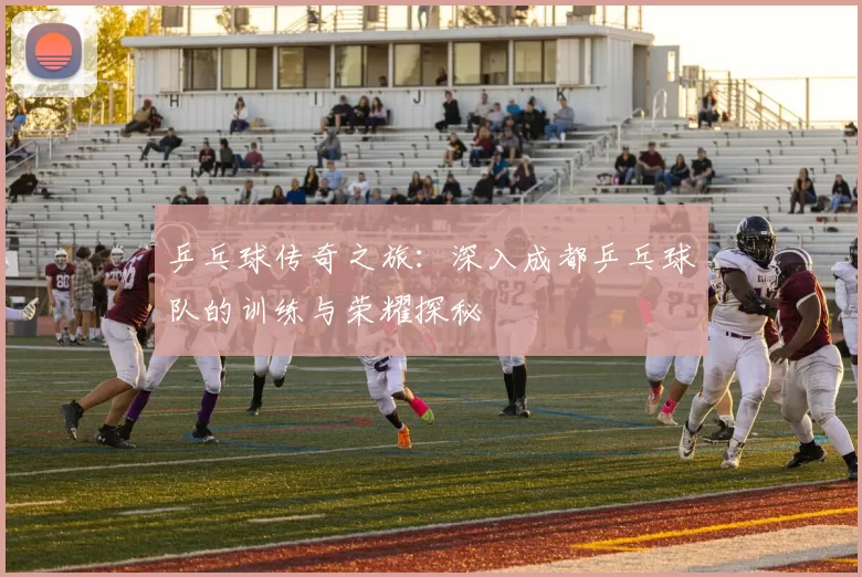乒乓球传奇之旅：深入成都乒乓球队的训练与荣耀探秘