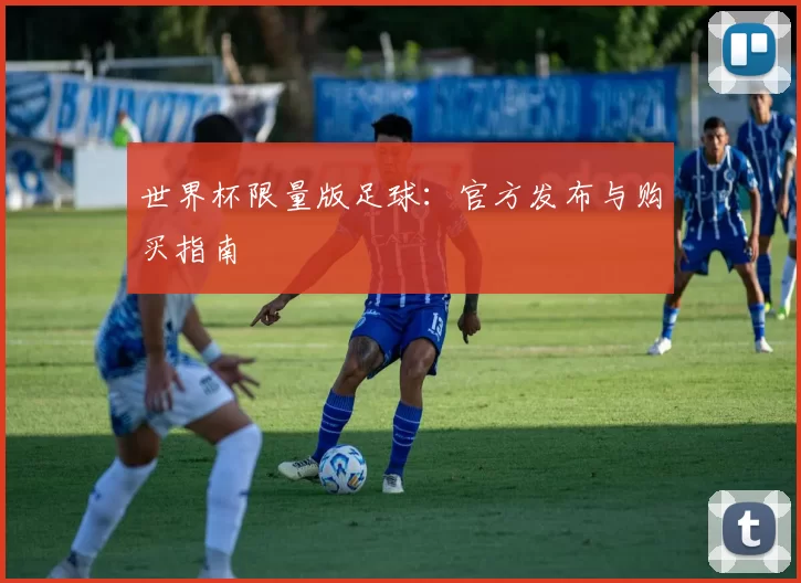 世界杯限量版足球：官方发布与购买指南
