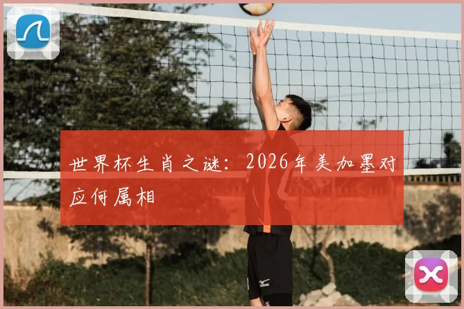 世界杯生肖之谜：2026年美加墨对应何属相