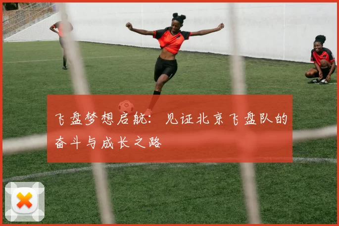 飞盘梦想启航：见证北京飞盘队的奋斗与成长之路