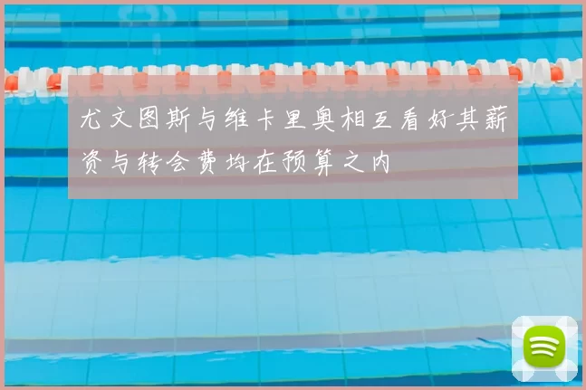 尤文图斯与维卡里奥相互看好其薪资与转会费均在预算之内
